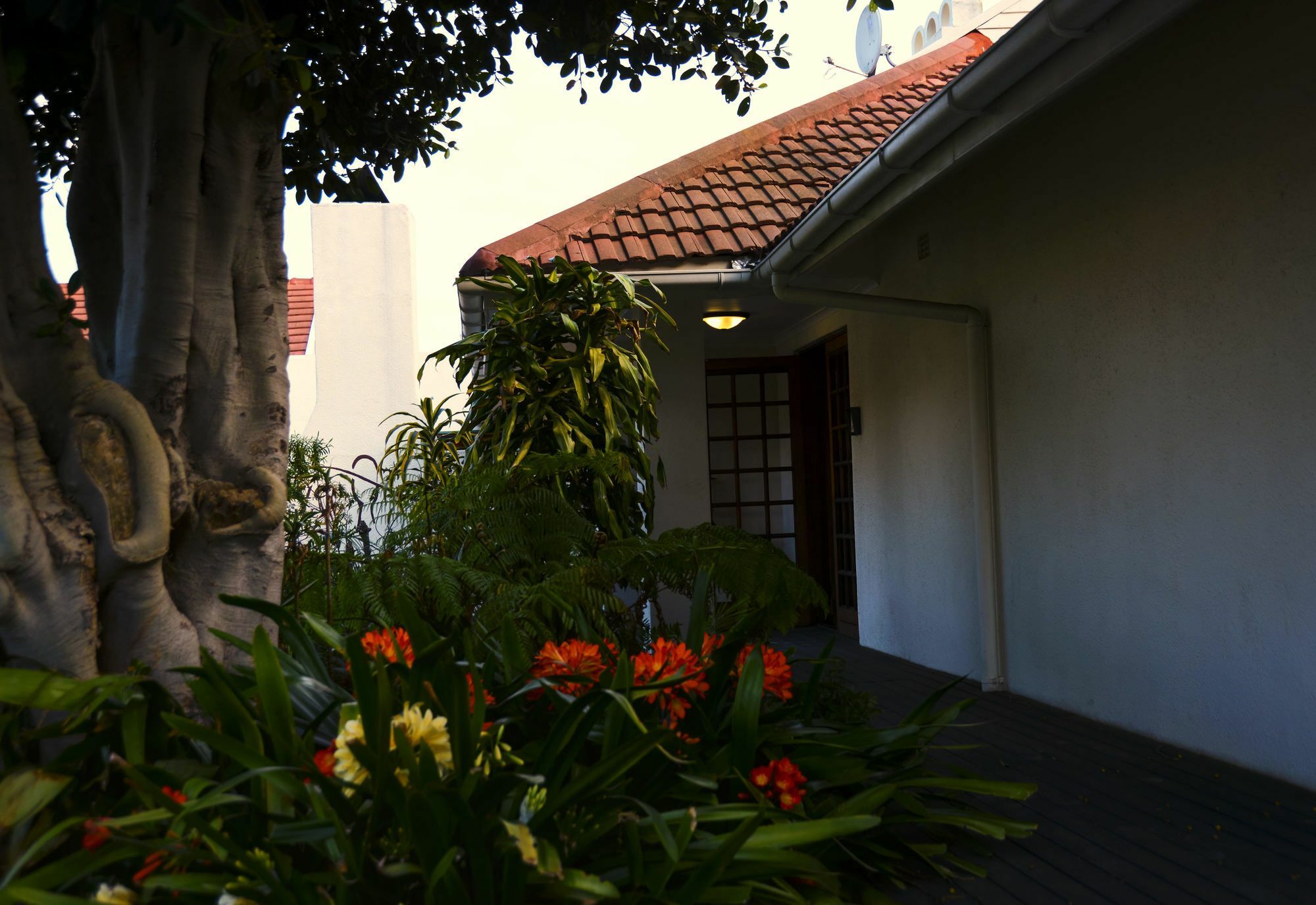 Dolliwarie Guesthouse Parow Bagian luar foto